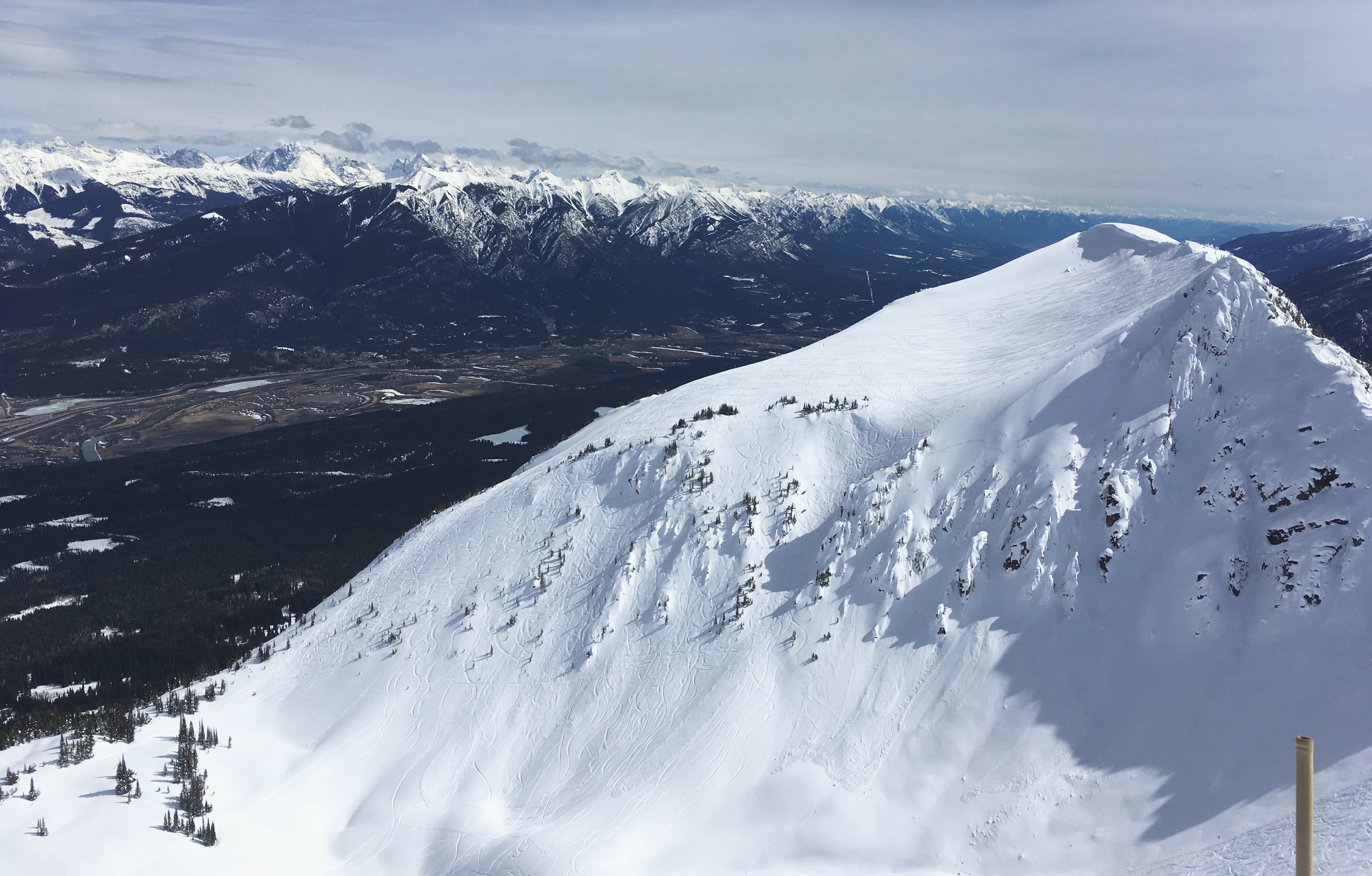 Views From The Horse V