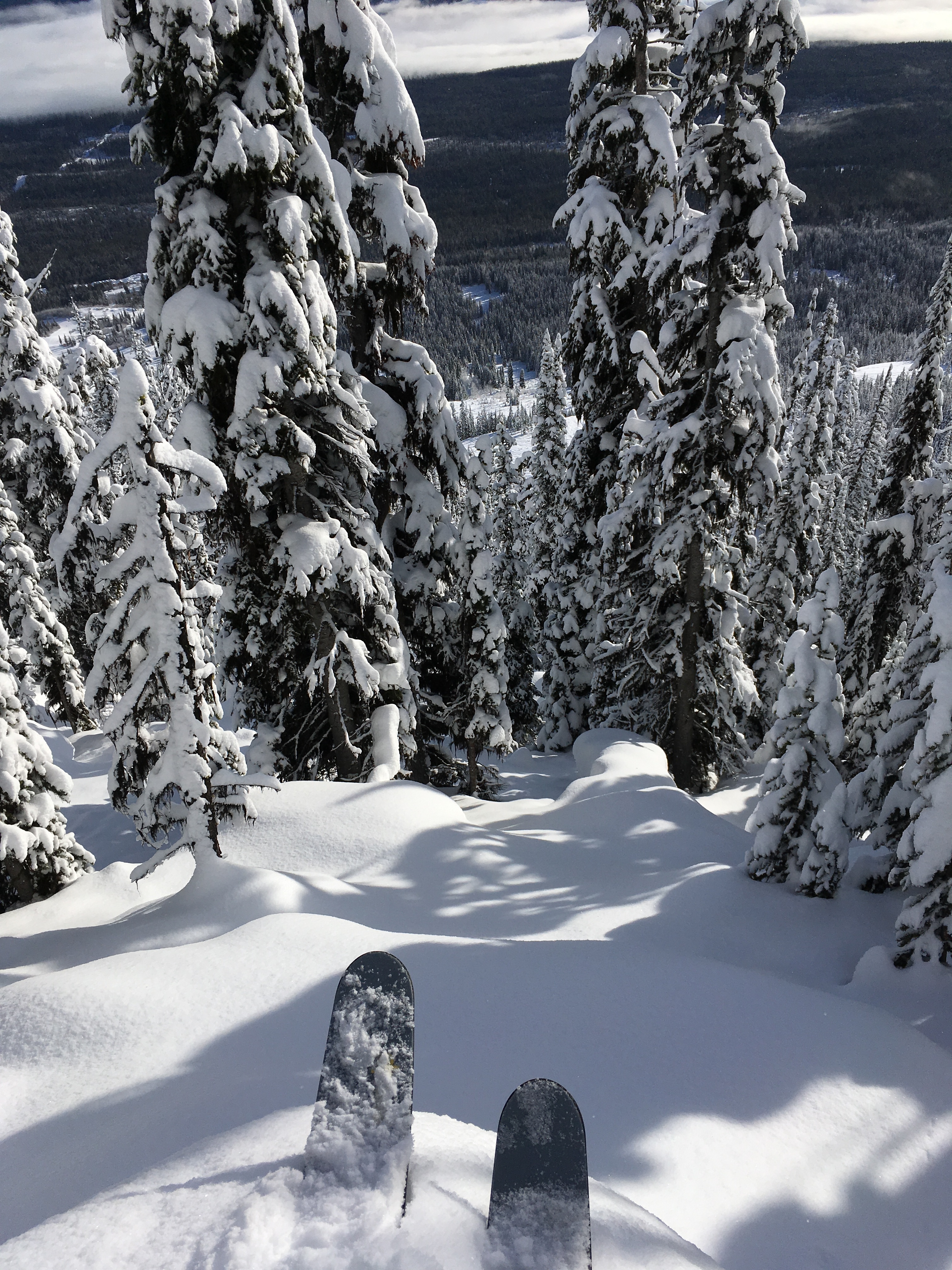 Views From The Horse VIII