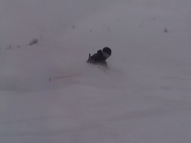 Waist Deep In Pow