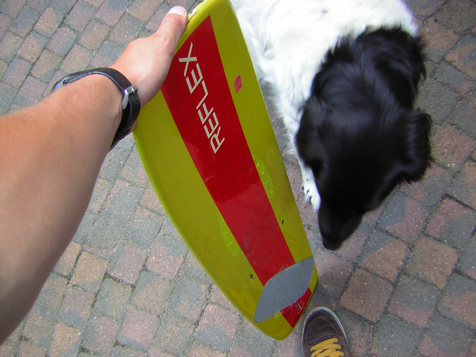 Wakeboard -> longboard