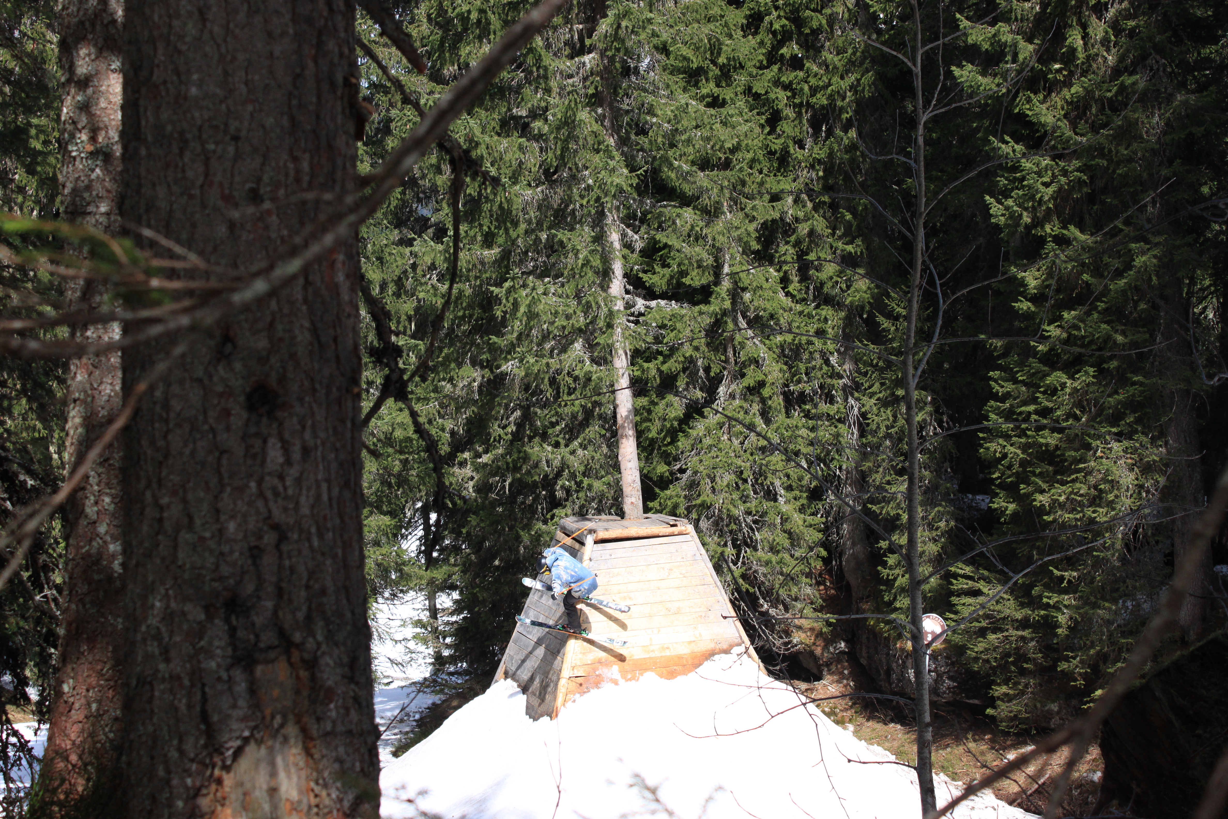 Wallride between the trees