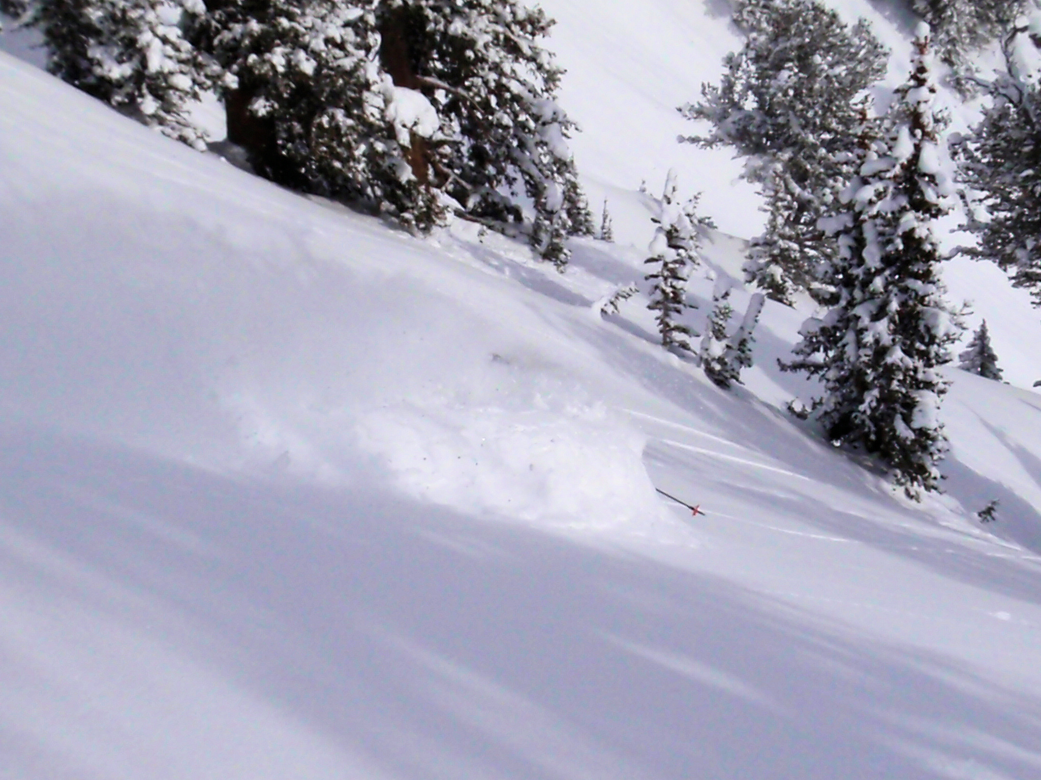 Wasatch Pow 3