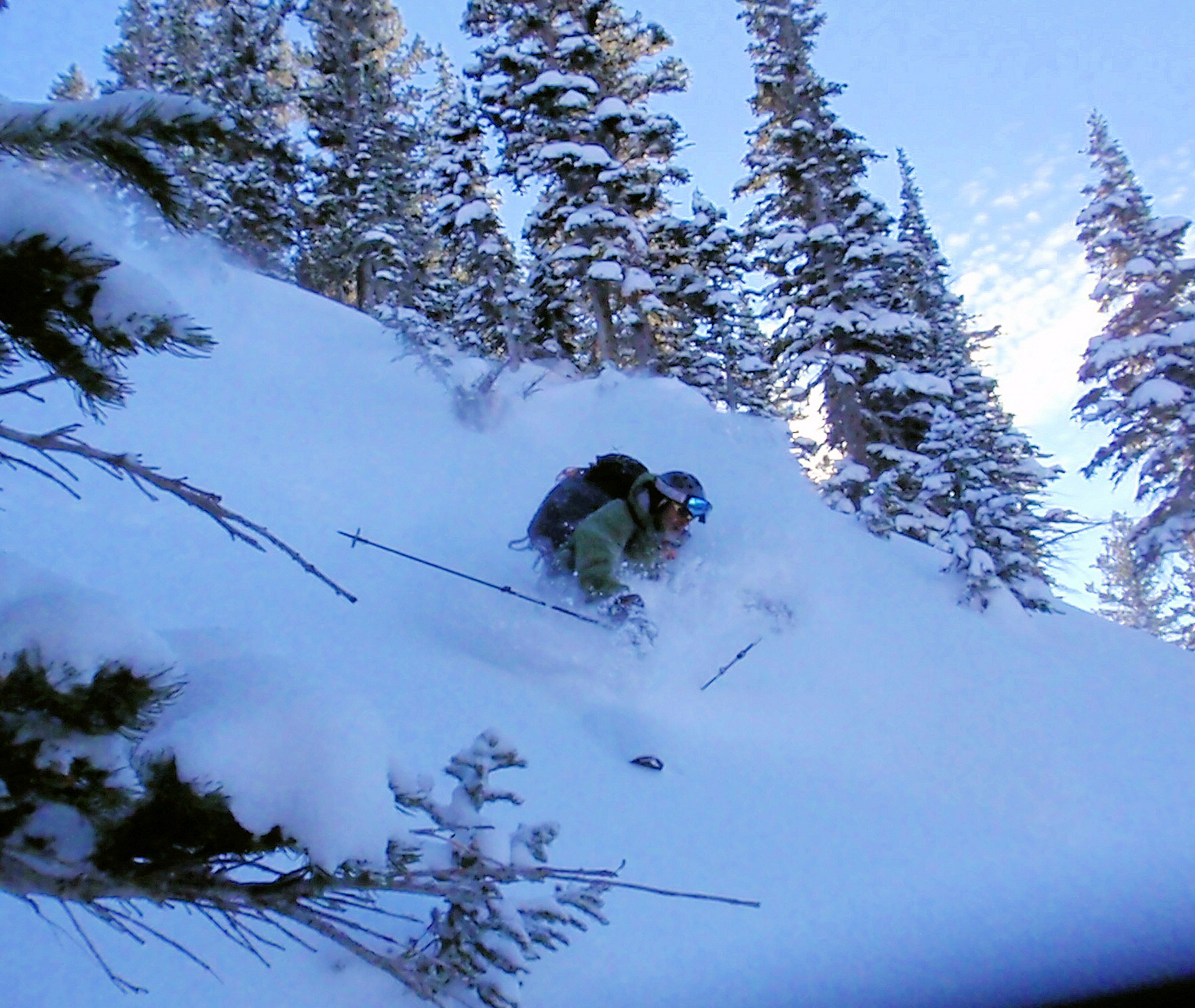 Wasatch pow