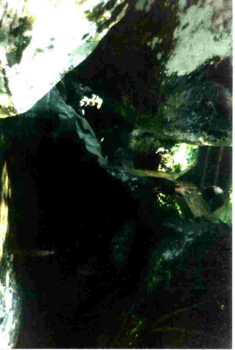 water cliff jumping..30 footer or so