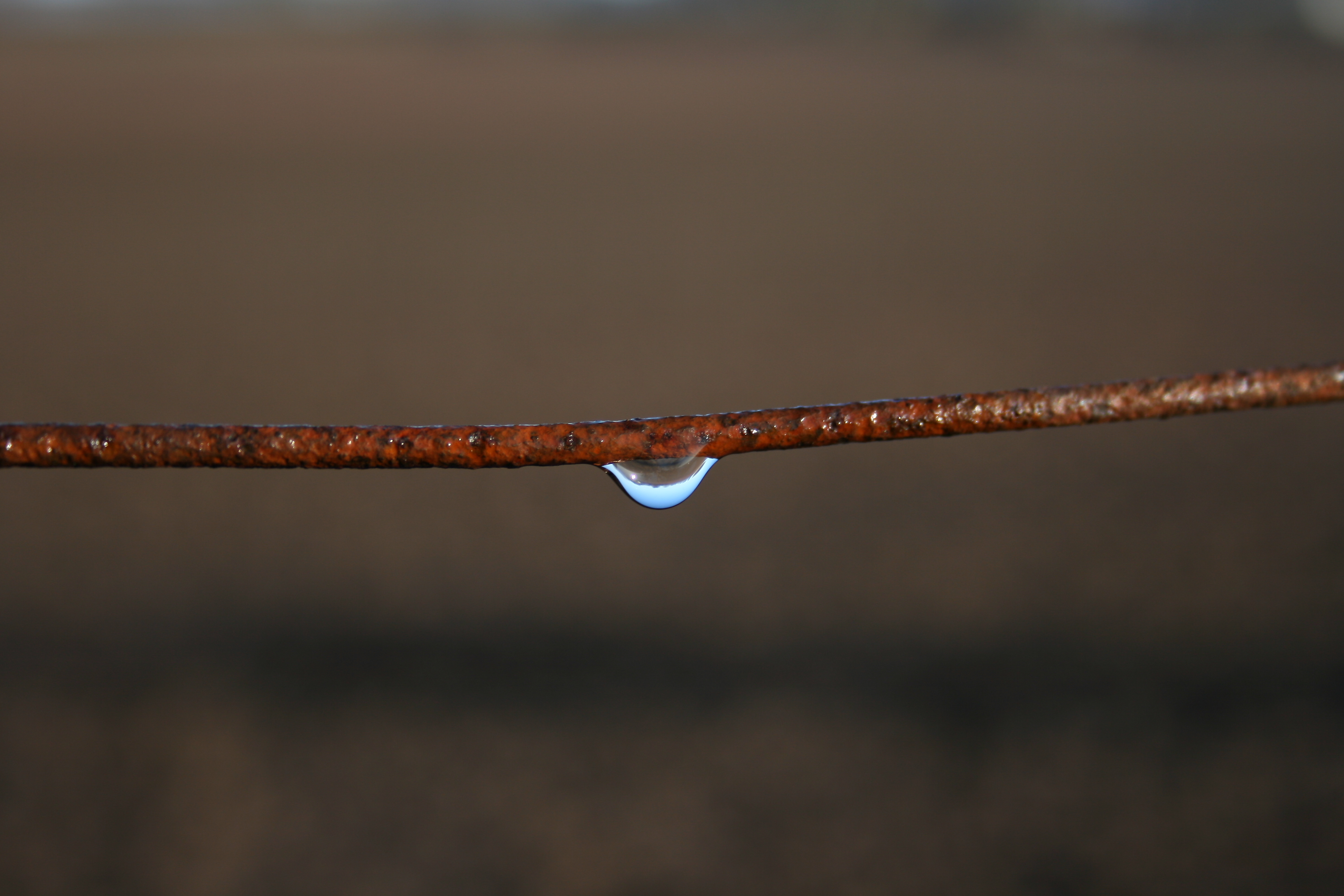 Water Drop on Rusty Wire