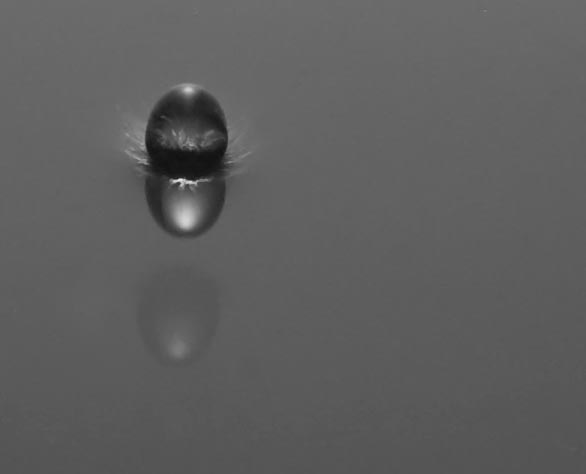 Water drop