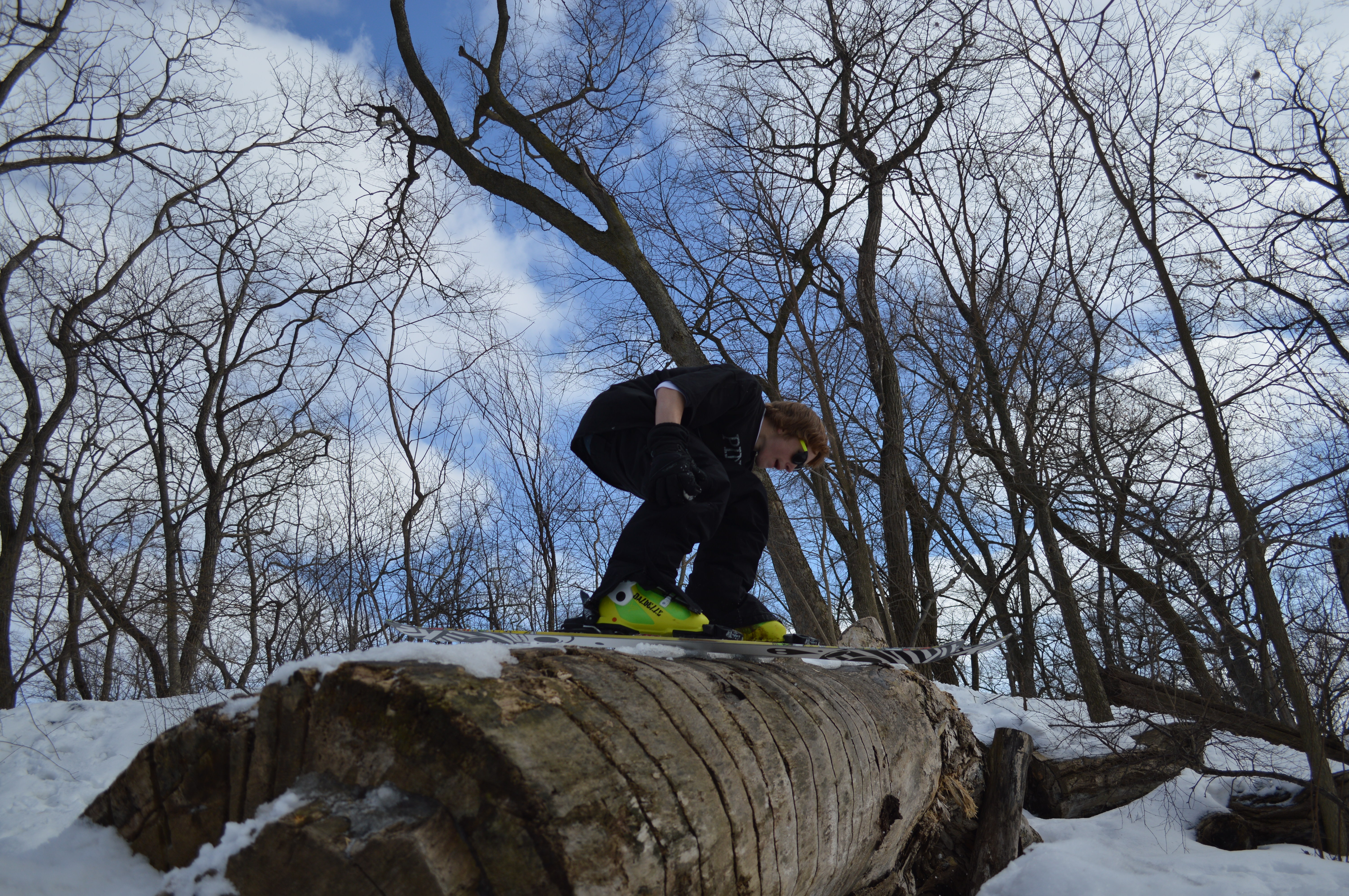 We found a huge log...