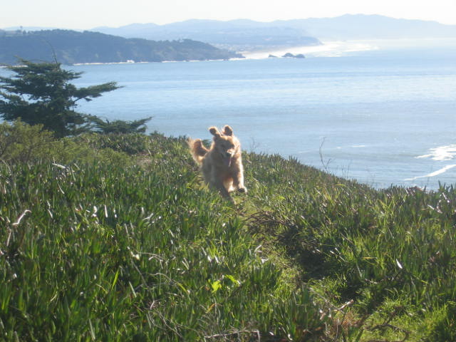 WEEEEE THIS IS A SICKLY FUN JUMP!!!