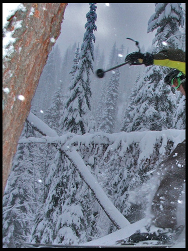 weird...but kinda cool