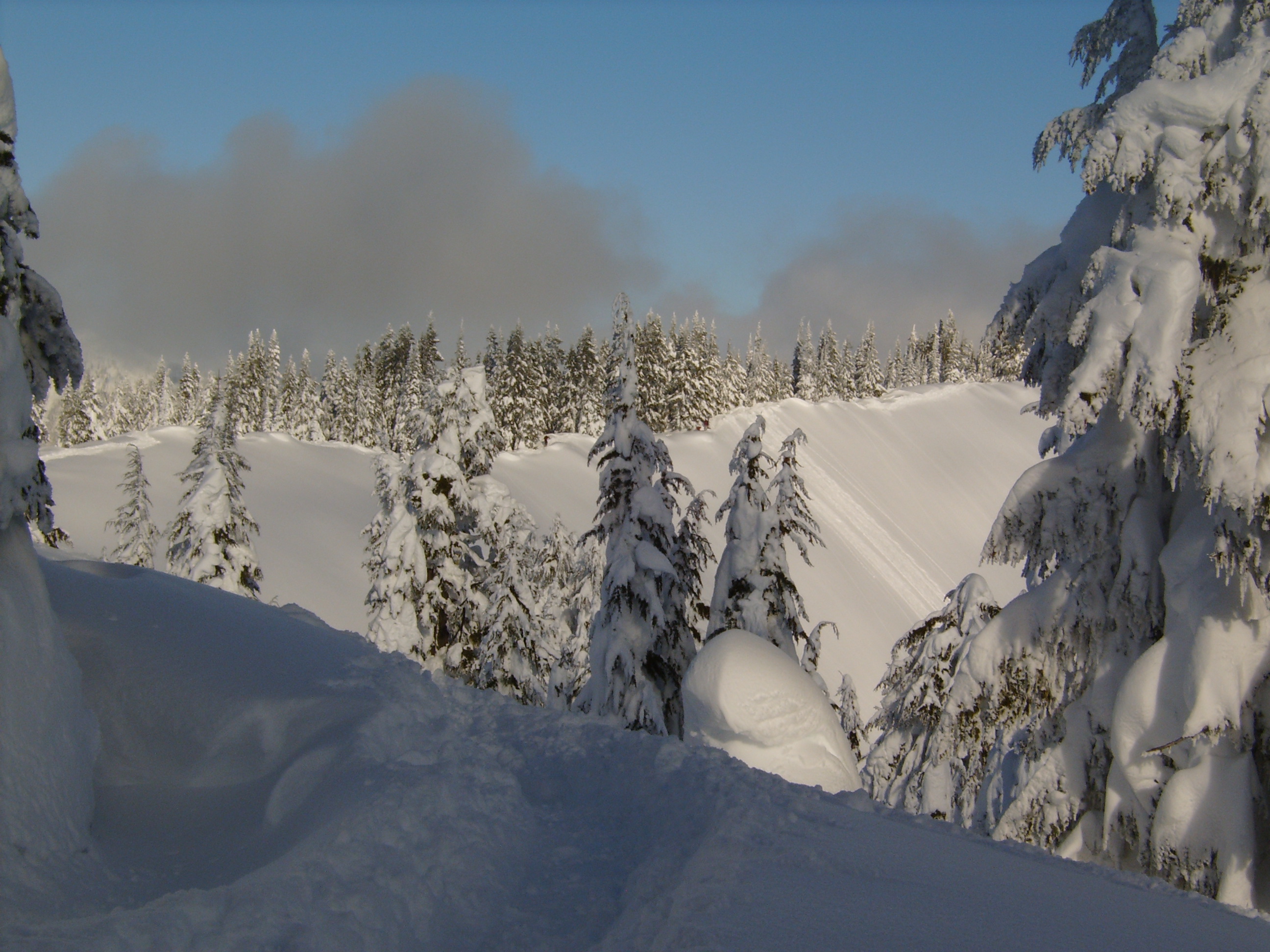 Wenatchee bowl glistening