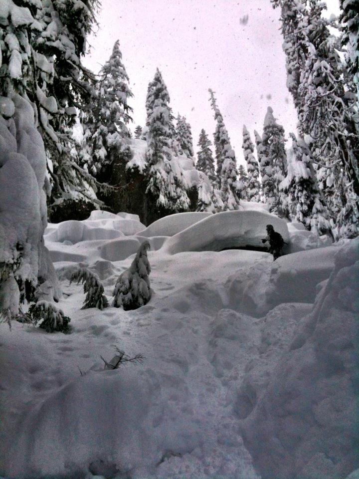 What did you do today?