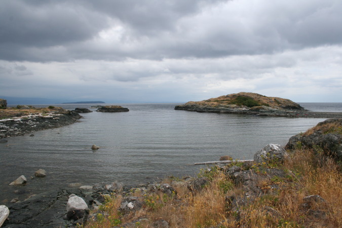 What do you call a seagull that flys over the bay?