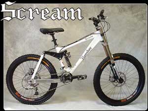 what do you think of this bike? Should I get it or not?