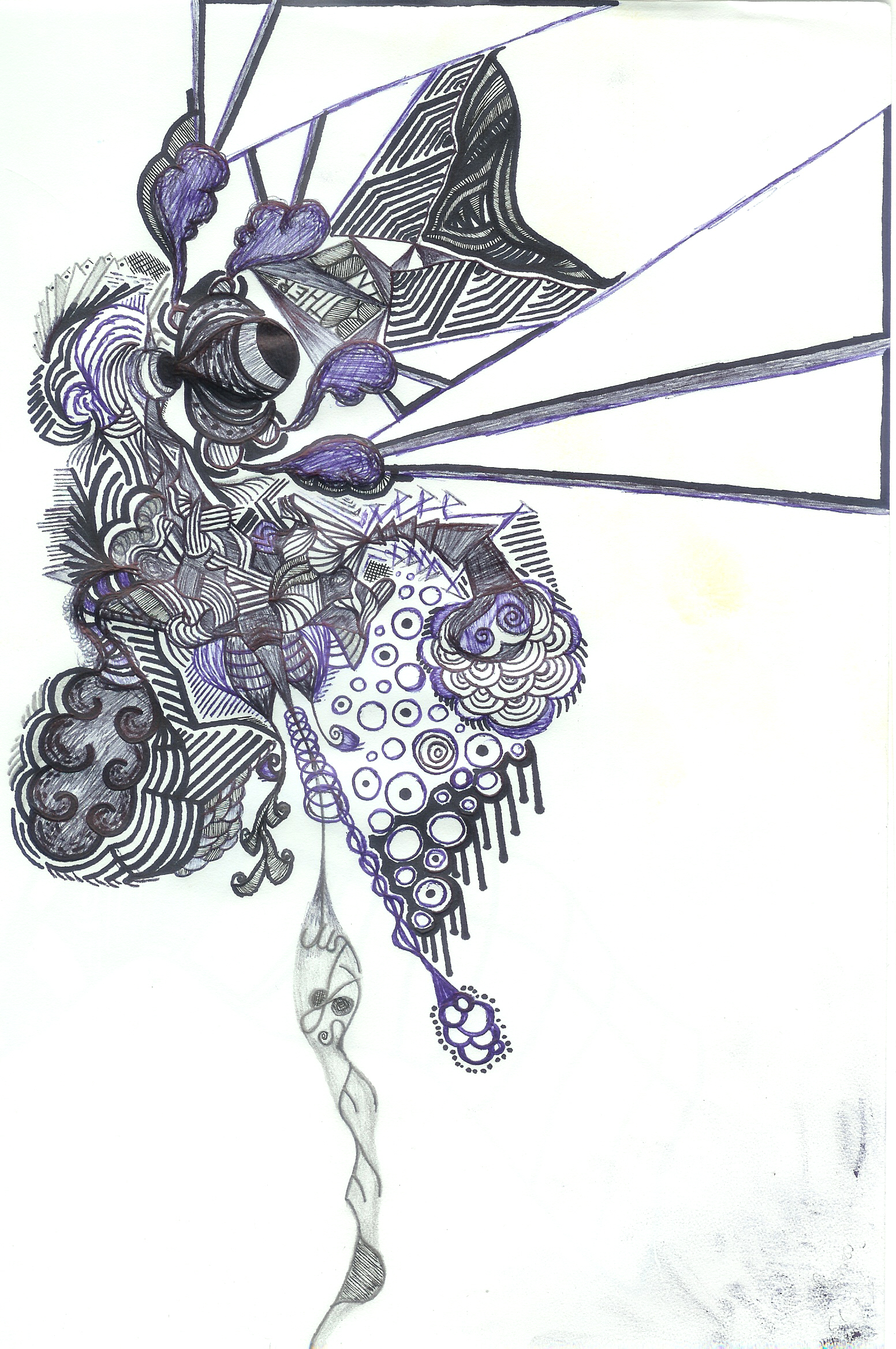 What i do in my free time