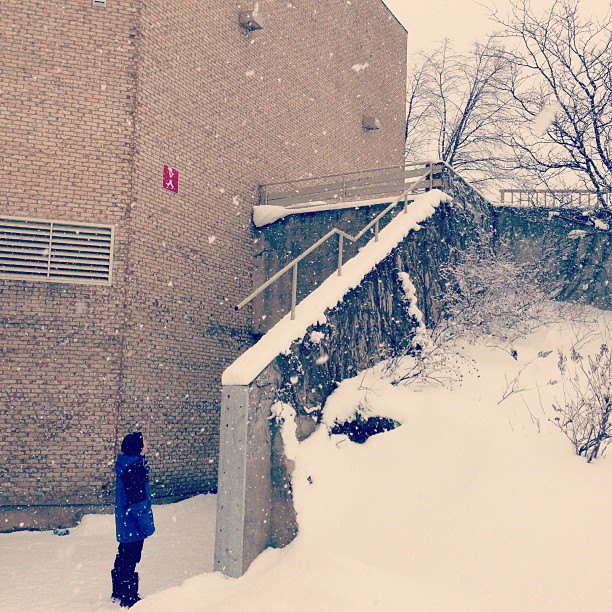 What is this? I don't even