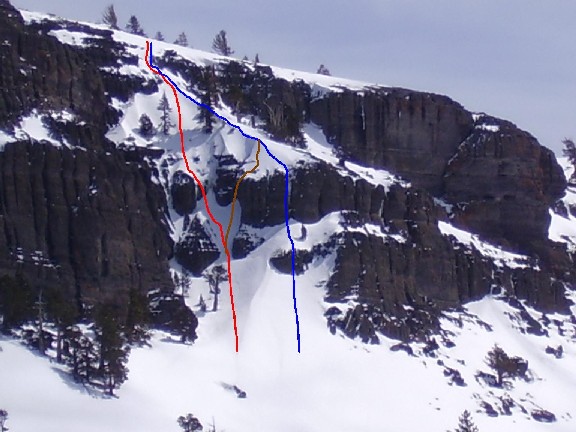 What line, blue red or brown