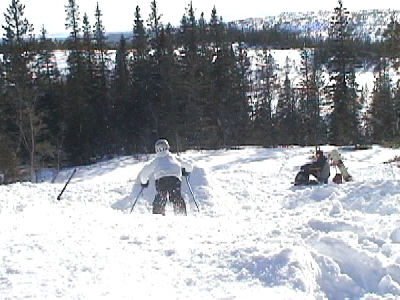 What would you have done?