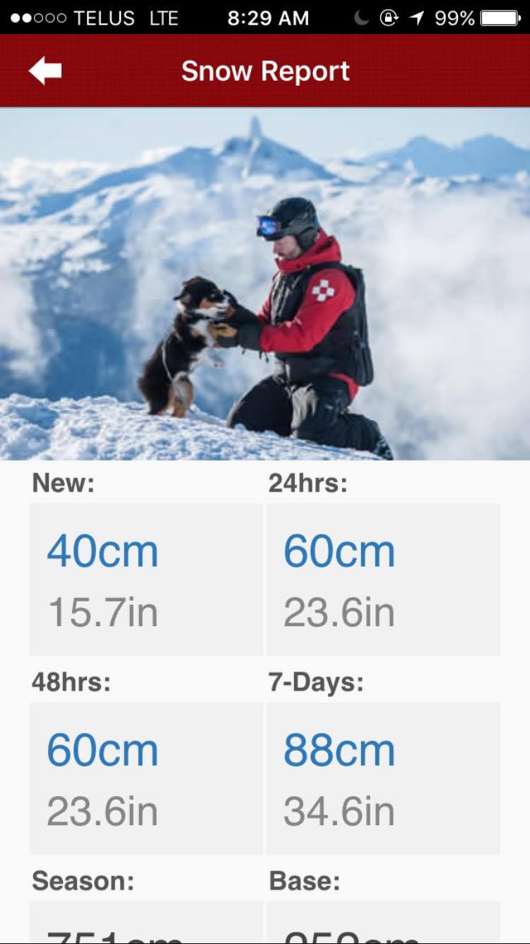 Whistler Blackcomb 60cm