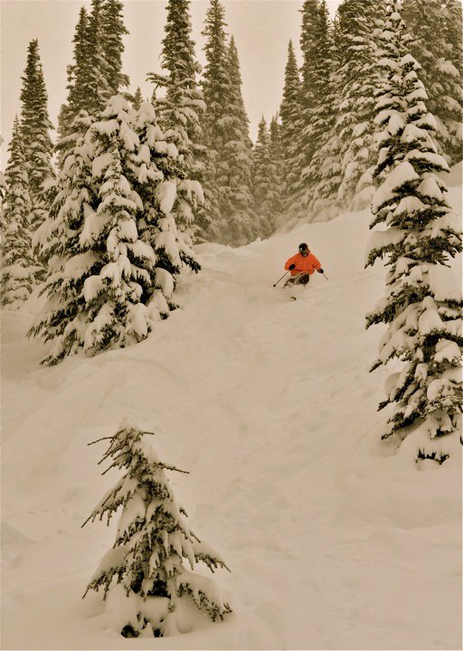 Whistler Pow