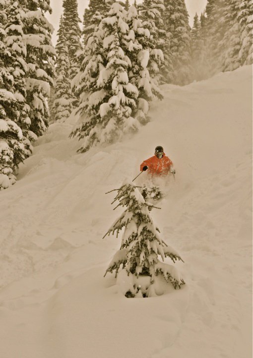 Whistler Pow