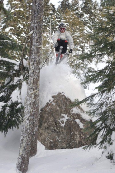 Whistler tree drop