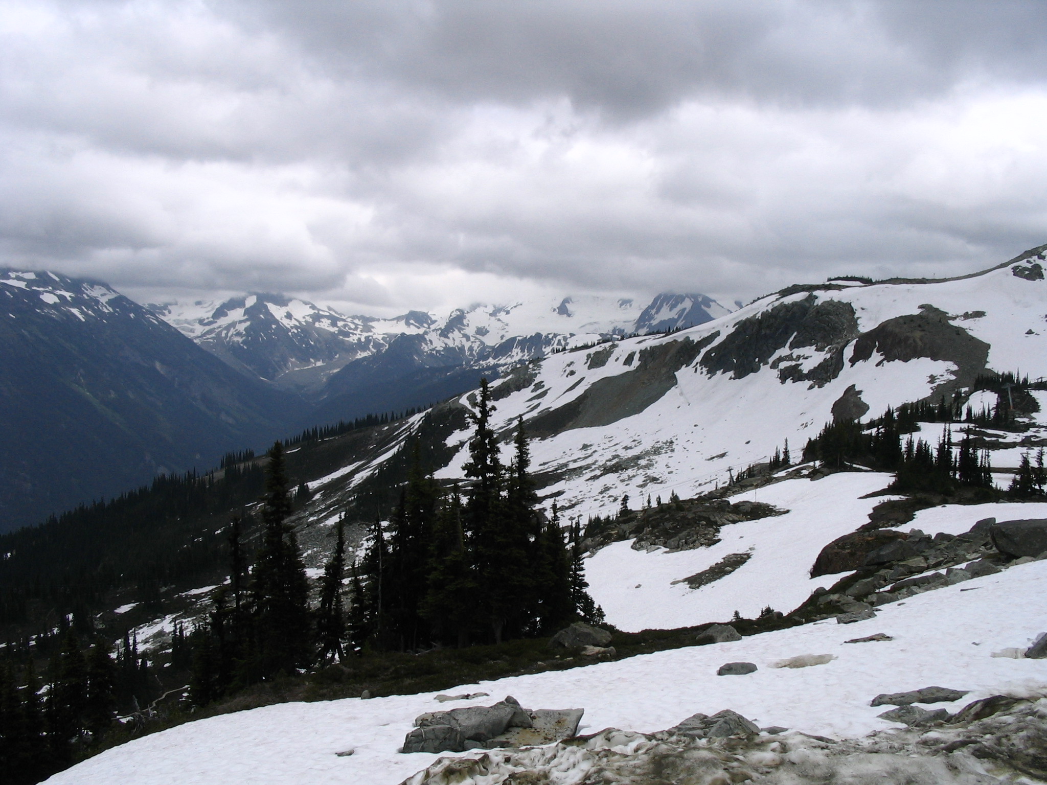 Whistler