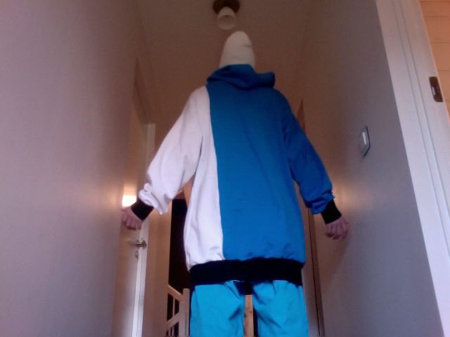 White - Blue Hoodie - back
