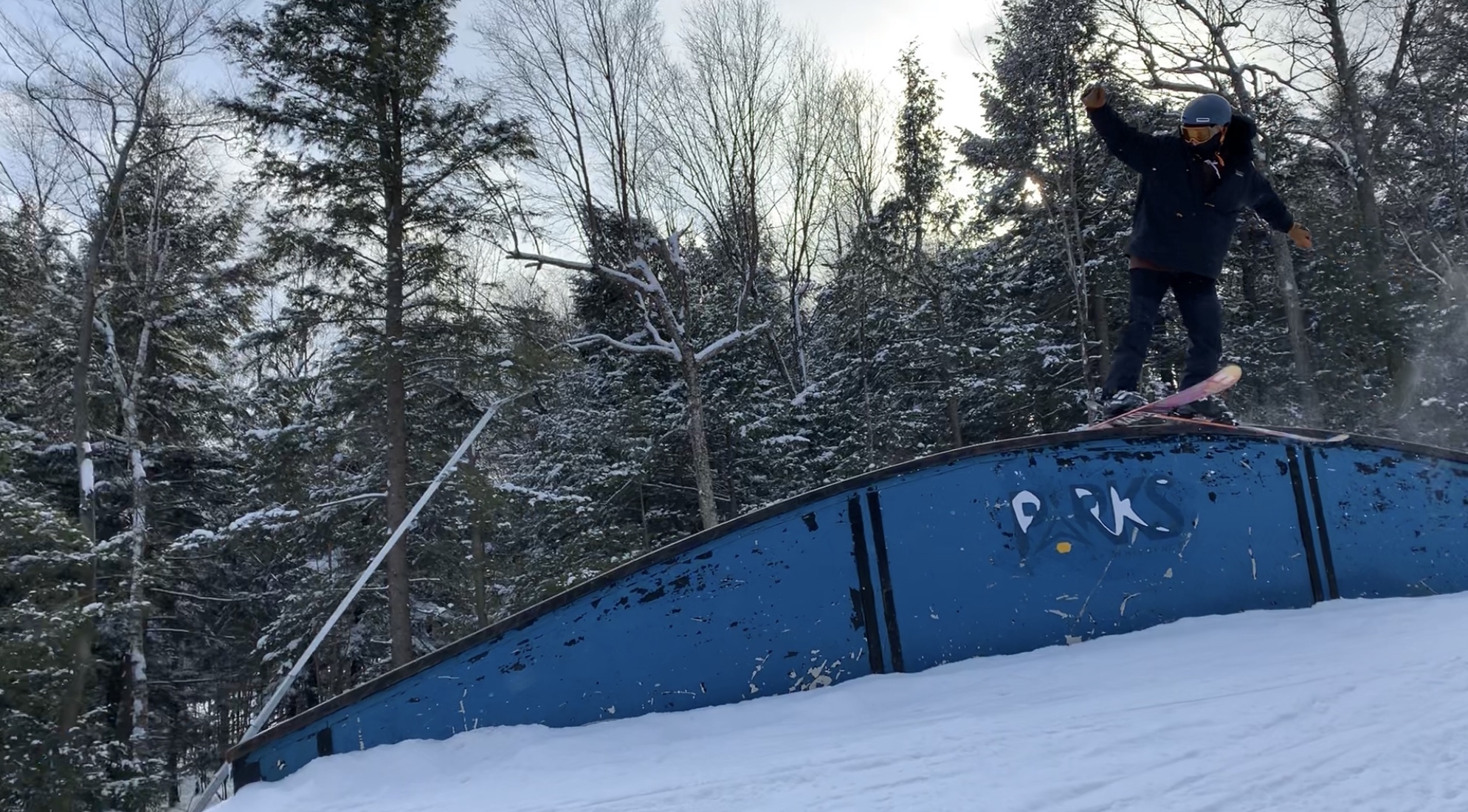 Whiteface Rainbow Rail