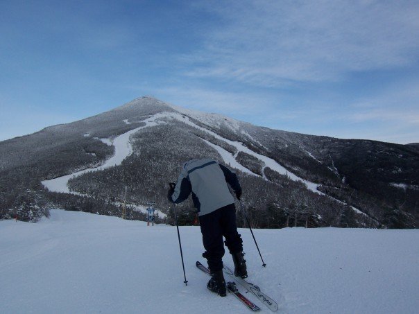 Whiteface