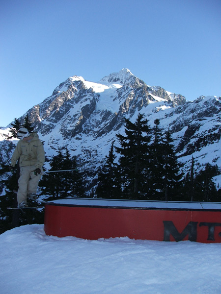 Who Let the Dogs Out?