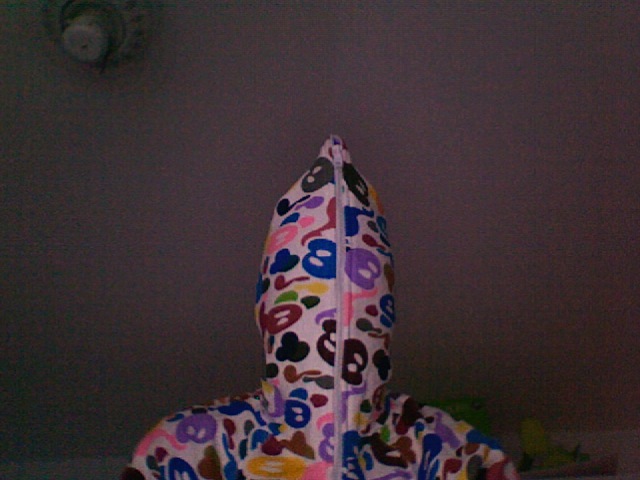 Why i bought a bape hoodie