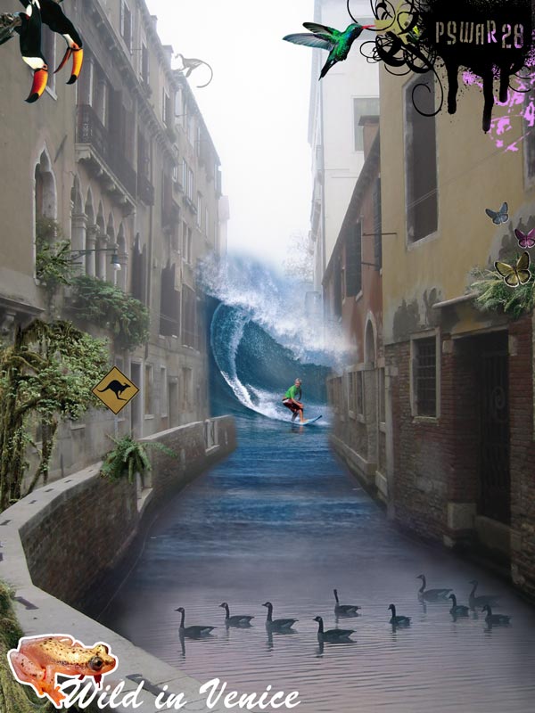 Wild in venice, war28