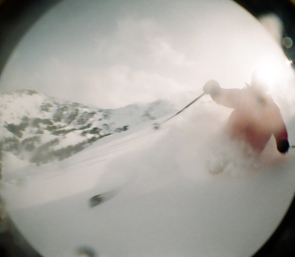 Wildcat on a Pow Day