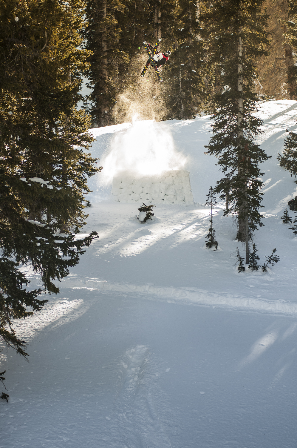 Wiley Miller, Cork 7