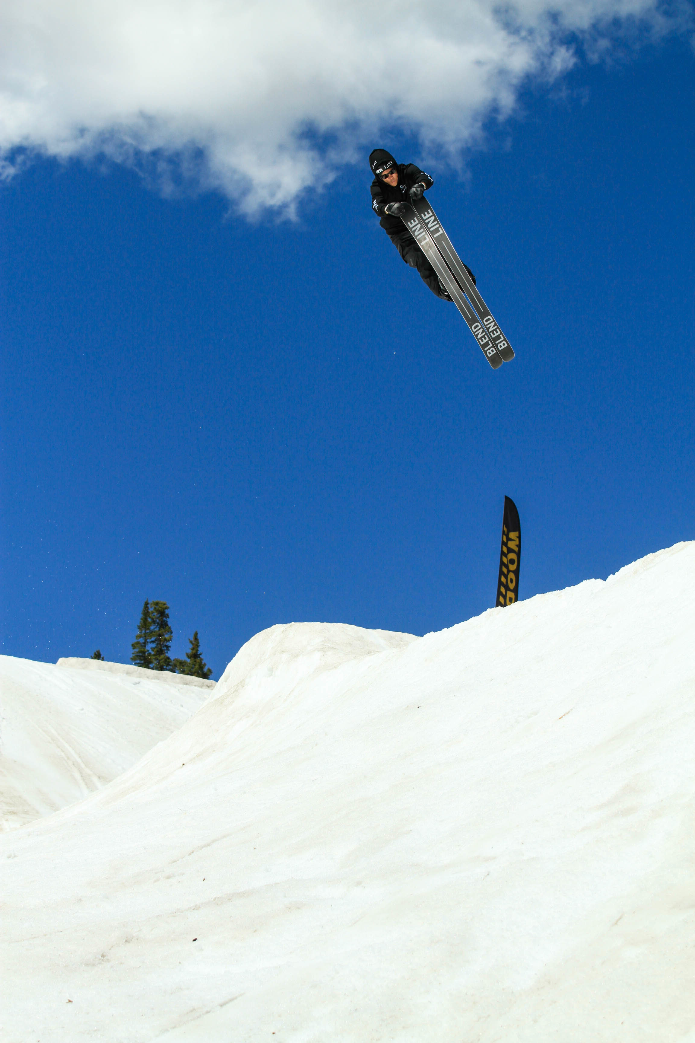 Will Wesson Dub Nose