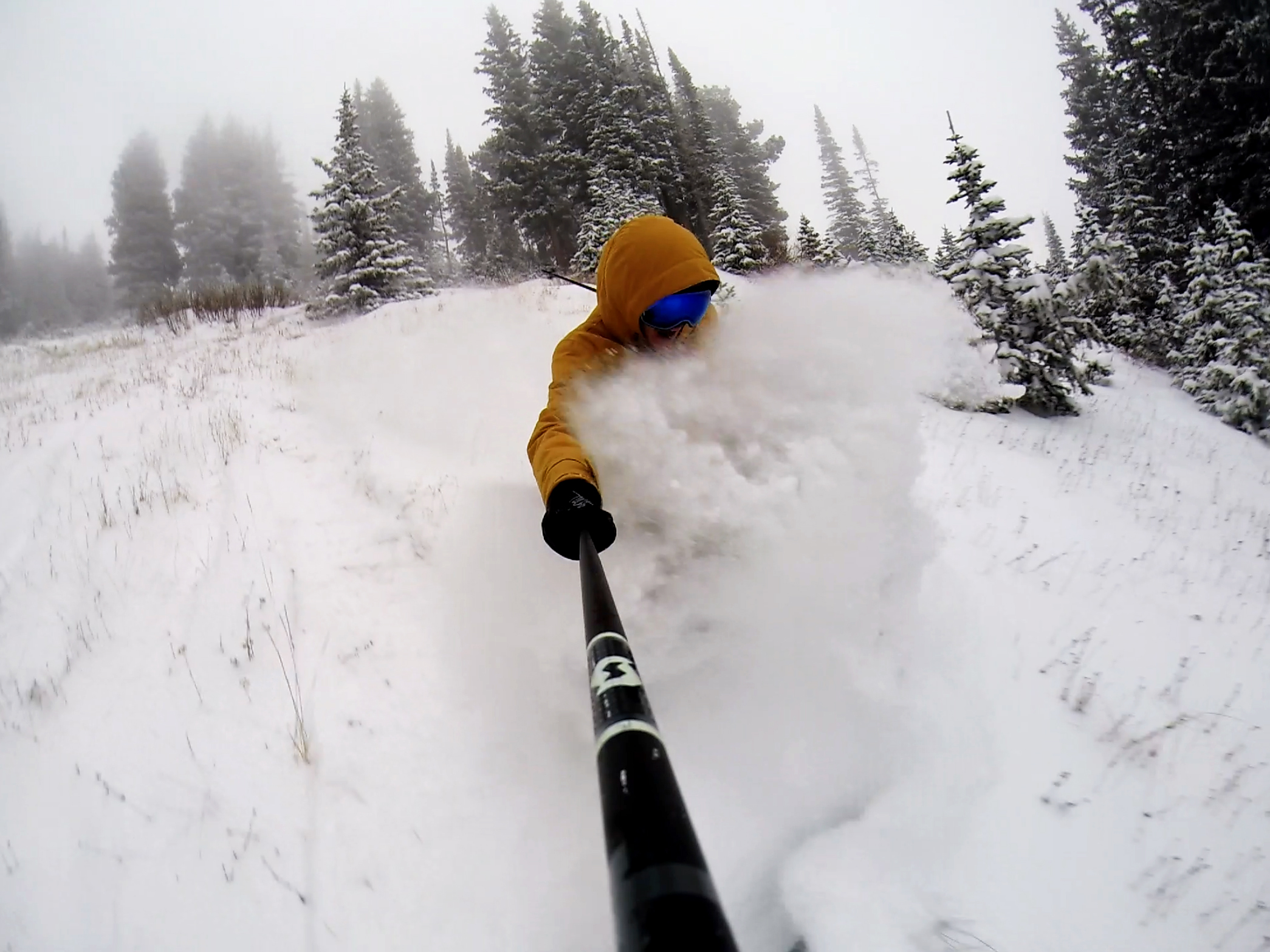 Will Wesson Preseason Faceshots