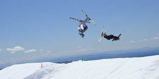 Windells Camp Dub backs