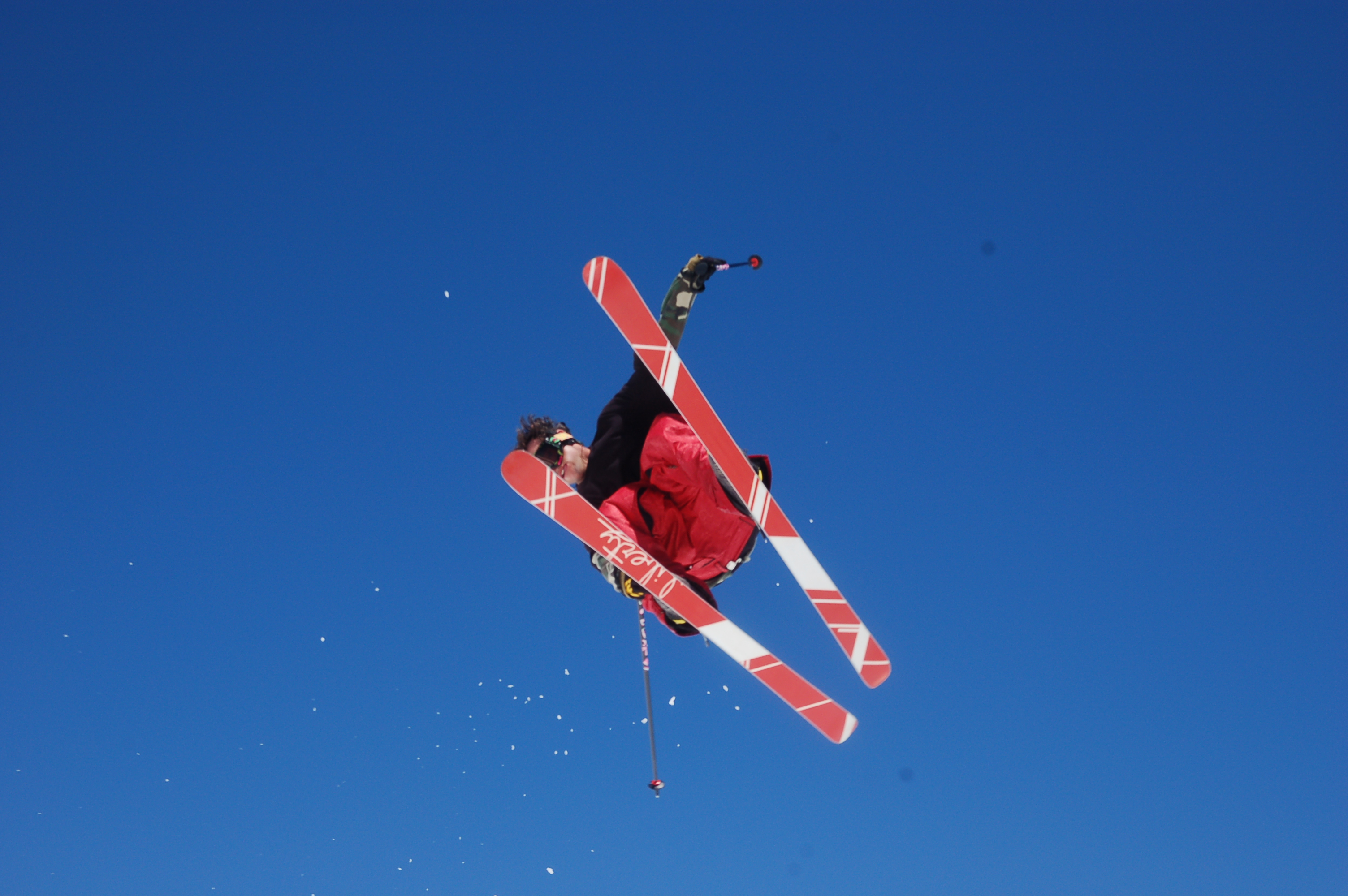 Windells Coach Hornbeck