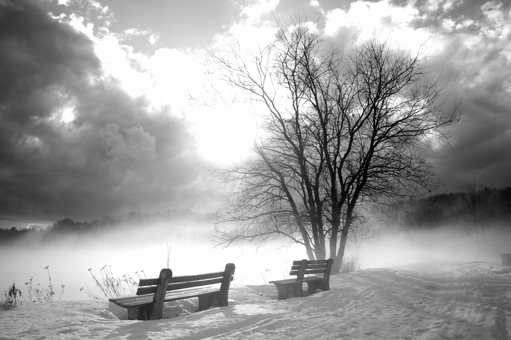 Winter Fog