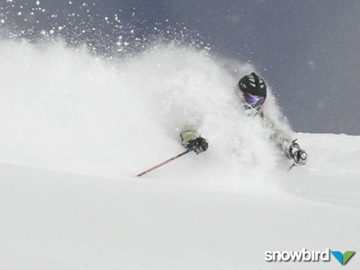 Winter Isnt Over Yet