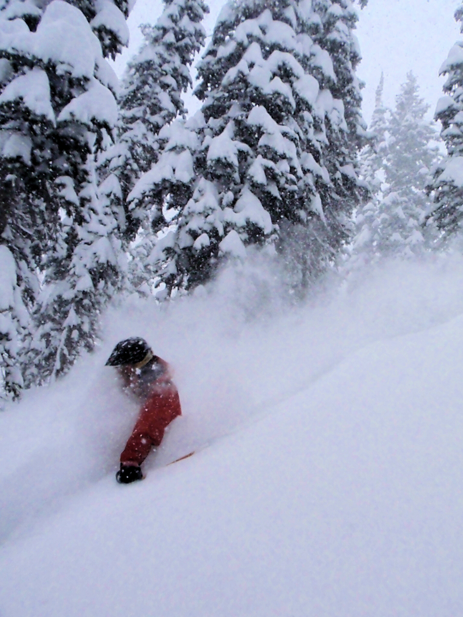 Winter's here in the Wasatch