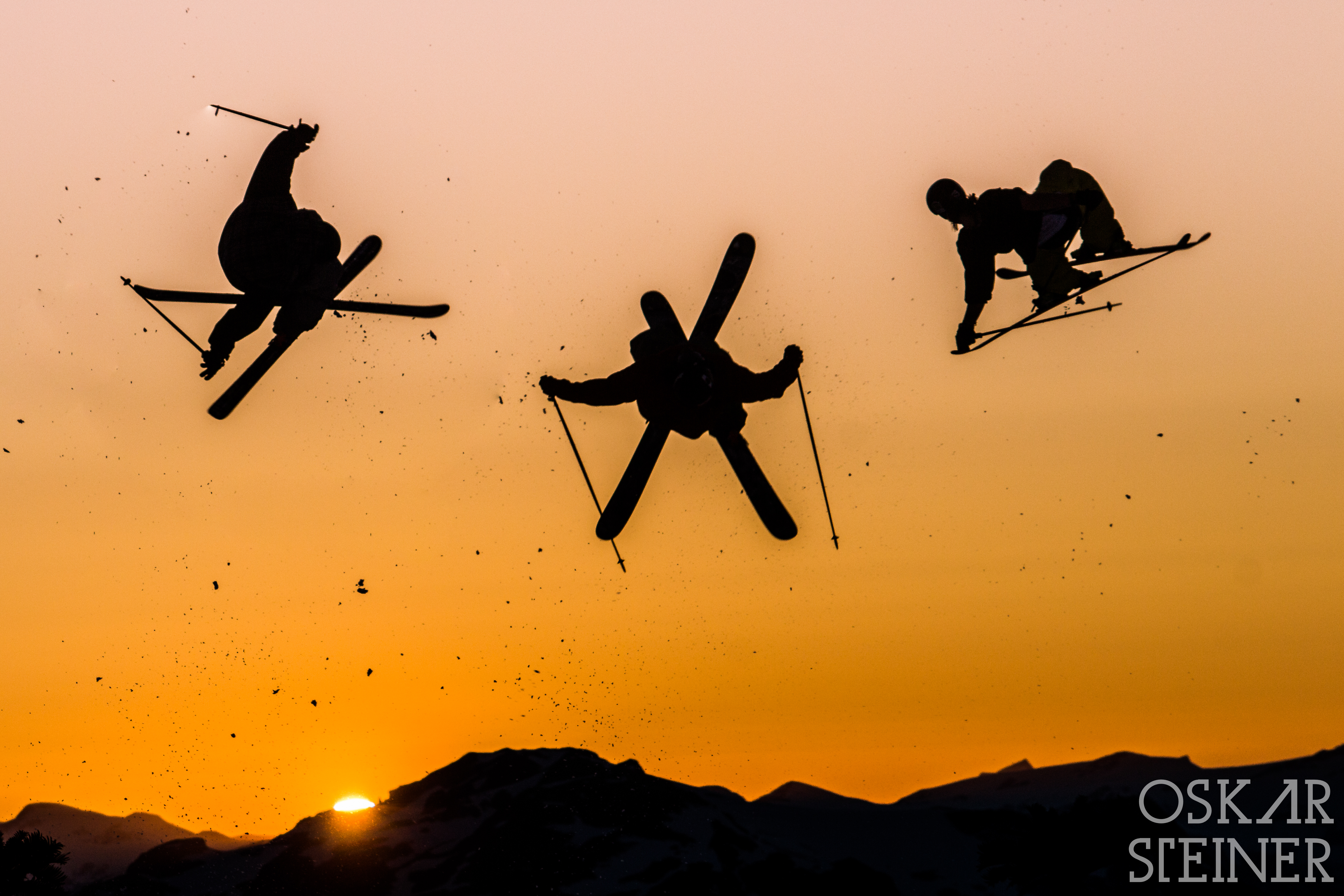 Woodsy, Bushy and Noah