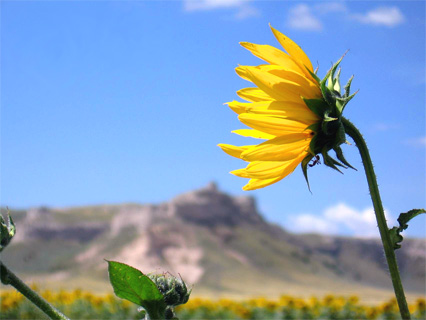 working on touching up pics