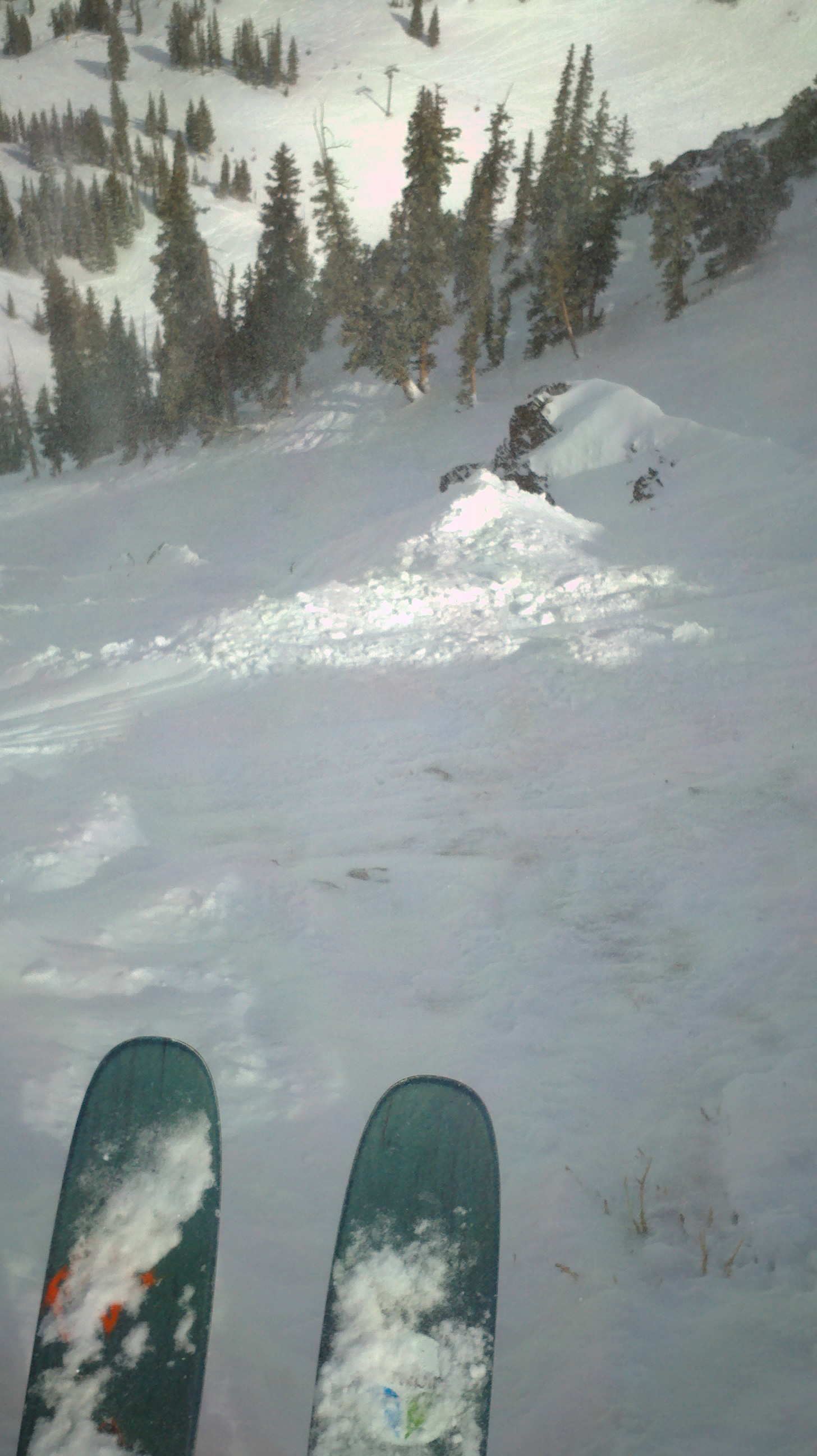 would you ski this, bro?