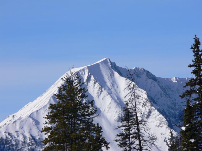 wow, the possibilities