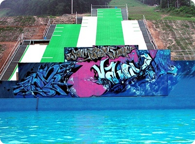 WTF- Graffiti of takes off