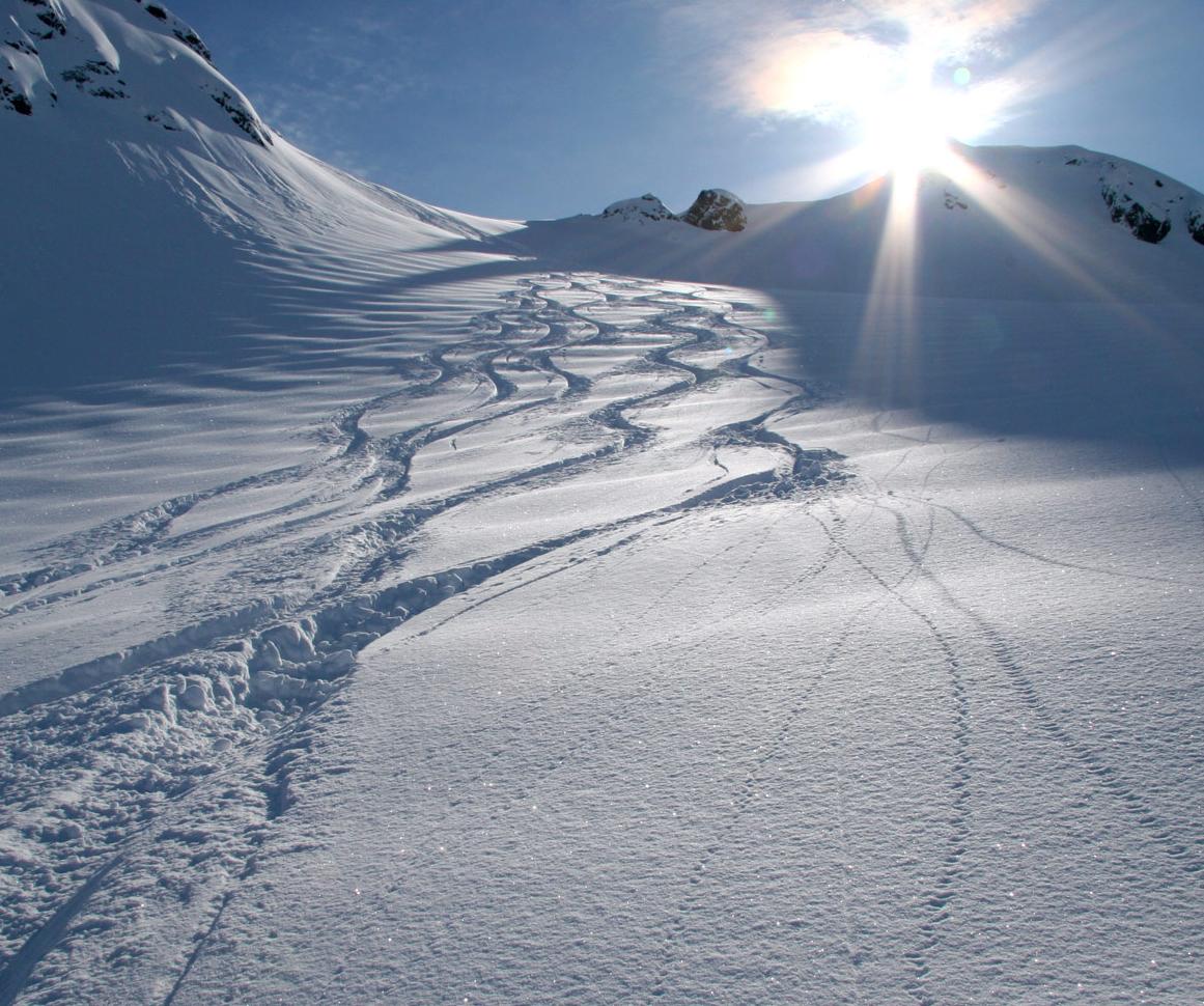 Wtf was it awesome...