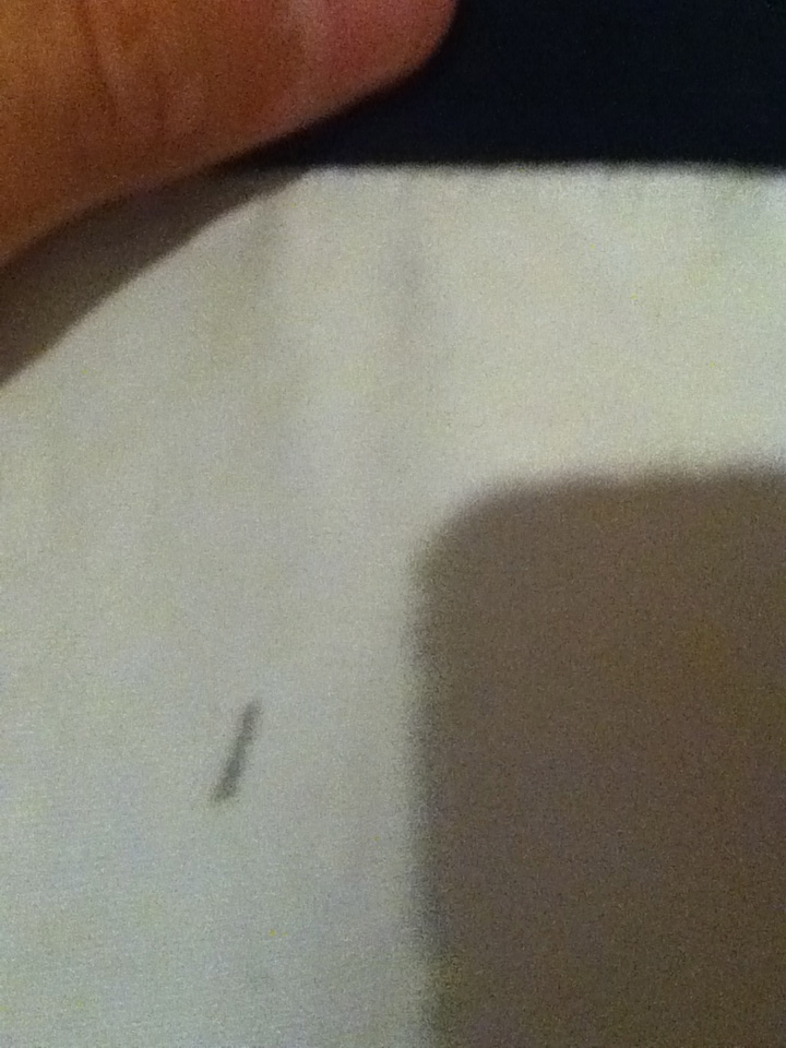 WTT: Xl LDC Dreamsicle Pants for L Dreamsicle Pants