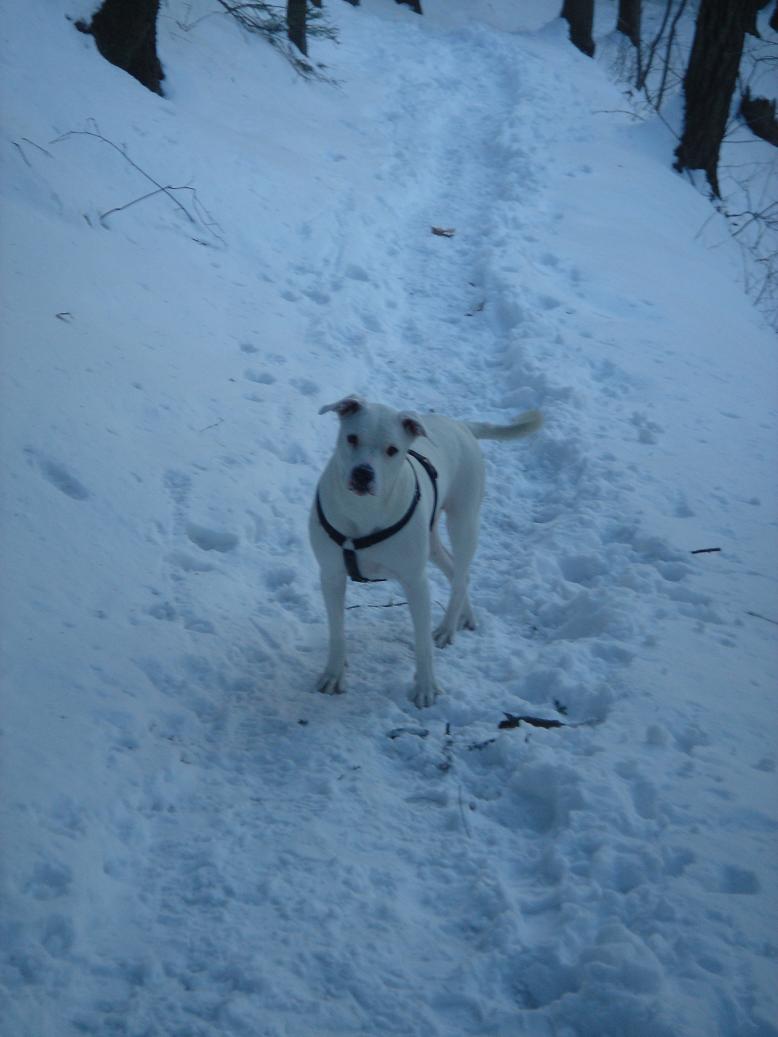 yay my favorite ppooooch!