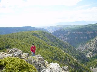 Yeah, this is my pretty much the view from my backdoor (in the summertime)